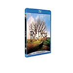 Big fish (Blu-Ray)