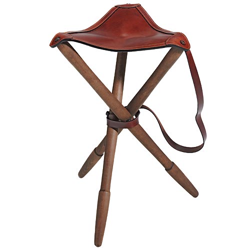 Lagrimas de San Lorenzo 2012: Material de Observación