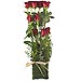 Arreglo paralelo de rosas