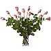 12 Rosas Rosadas y Champagne de tallo largo 70 cm