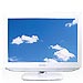 Televisor de 19