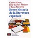 BREVE HISTORIA DE LA LITERATURA ESPAÑOLA
