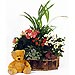 Cesta de plantas y peluche
