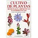 CULTIVO DE PLANTAS MEDICINALES, AROMÁTICAS Y CONDIMENTICIAS