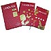 EL PEQUE�O LAROUSSE- PACK NAVIDAD 2008