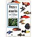 PECES Y ACUARIOS: VER Y CONOCER