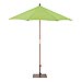 Parasol de madera de Nyato o pi� de hierro (se ven