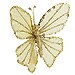 Mariposa