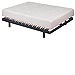 Colch�n con bloque de Viscofoam