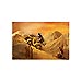 Moto ATV X-Control R/C