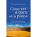 C�MO VER EL TORO EN LA PLAZA