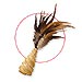 Juguete con plumas