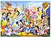 Puzzle Maravilloso Disney