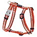Arn�s naranja