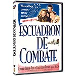 Escuadrón de combate