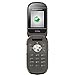 Sony Ericsson Z250i Negro