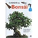 CUIDADOS DEL BONS�I