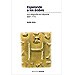 ESPERANDO A LOS�RABES: (507-711) VISIGODOS EN HISPANIA