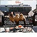 Wilco (The Album)