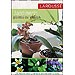 JARDINER�A: PLANTAS DE INTERIOR