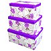 Caja de ordenaci�n