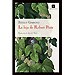 LA HIJA DE ROBERT POSTE