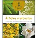�RBOLES Y ARBUSTOS