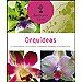 ORQU�DEAS