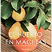 EL HUERTO EN MACETAS