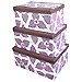 Caja de ordenaci�n