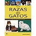 RAZAS DE GATOS: TODAS LAS RAZAS Y TODOS LOS COLORES