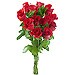 12 Rosas Rojas de tallo largo 60 cm. con regalo de bombones