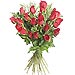 24 Rosas Rojas de tallo largo 60 cm.
