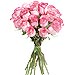 24 Rosas Rosas de tallo largo 60 cm.
