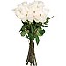 12 Rosas Blancas de tallo largo 60 cm
