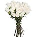 24 Rosas Blancas de tallo largo 60 cm.