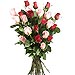 24 Rosas Bicolor de tallo largo 60 cm.