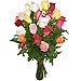 24 Rosas Multicolor