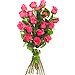 18 Rosas Fucsia de tallo largo 60 cm