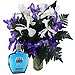 Ramo Iris + After Shave