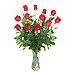 Ramo Real 12 Rosas Rojas de tallo largo 80 cm.