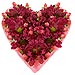 Coraz�n enamorado