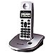 Tel�fono Dect KX-TG1070SPS Plata