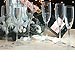 Juego de 6 copas de Champagne
