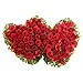 Doble Corazón de Rosas Rojas