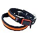 Collar luminoso
