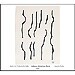 Bach: Suites para chelo