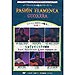 Pasi�n Flamenca, Guitarra, Vol .1