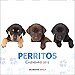 CALENDARIO PERRITOS 2012