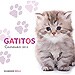 CALENDARIO GATITOS 2012